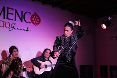 Tania bailando en el Palacio del Flamenco