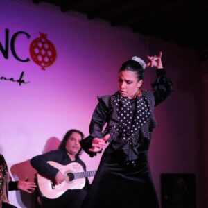 Tania en el Palacio Flamenco